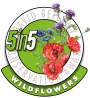 David Bellamy 5 in 5 Wildflowers